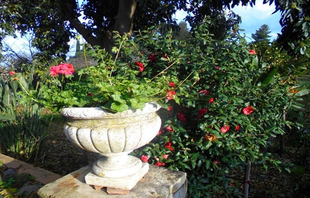 Baglio Delle Rose Bed and Breakfast Giarre Exteriör bild