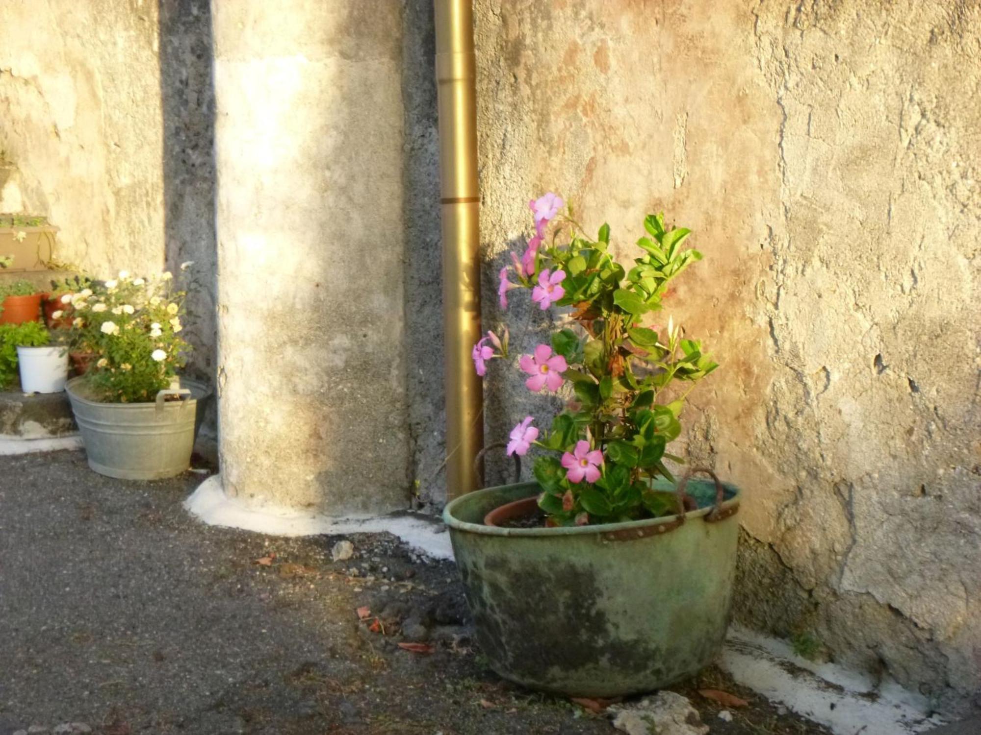 Baglio Delle Rose Bed and Breakfast Giarre Exteriör bild