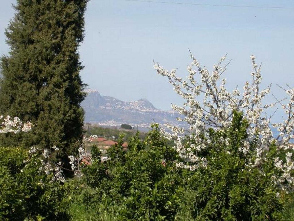 Baglio Delle Rose Bed and Breakfast Giarre Exteriör bild