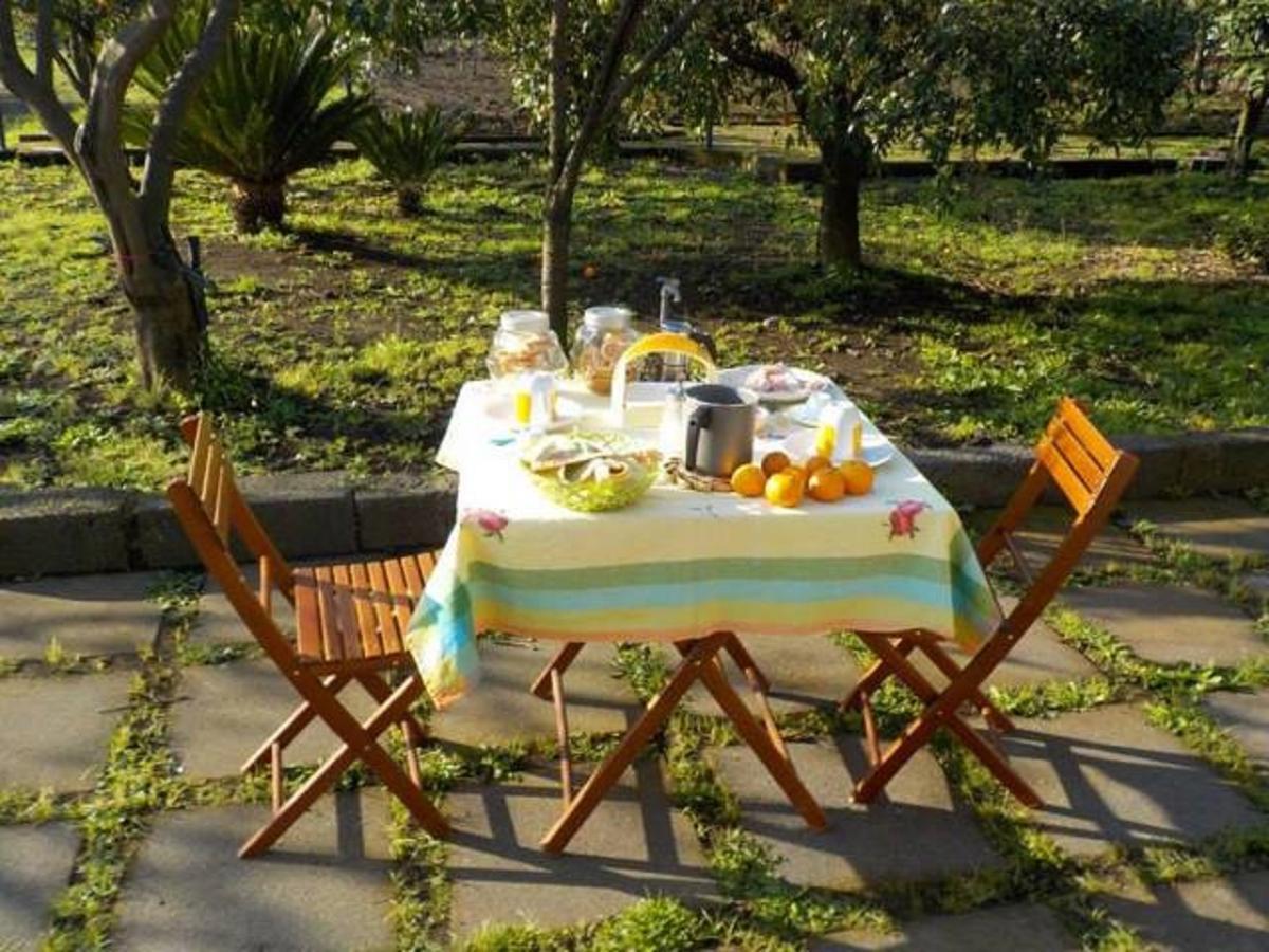 Baglio Delle Rose Bed and Breakfast Giarre Exteriör bild